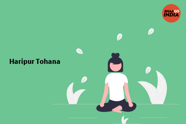 Cover Image of City - Haripur Tohana | Bhaago India
